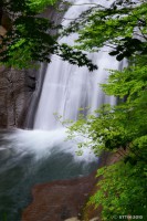 /album/%e5%a4%8f/a1-5-1-jpg1/